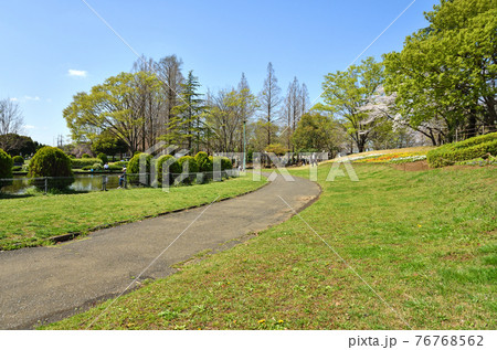 見沼田圃散歩:大崎公園 見沼田圃散歩:大崎公園 76768562