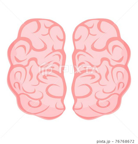 Human brain cord icon, cartoon style Human brain cord icon, cartoon style 76768672