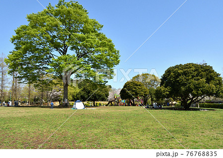 見沼田圃散歩:大崎公園 見沼田圃散歩:大崎公園 76768835