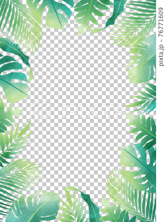 夏のモンステラやヤシの葉など数種類の植物のベクターイラストフレーム(コピースペース,水彩風) 76771609