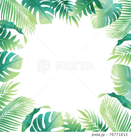 夏のモンステラやヤシの葉など数種類の植物のベクターイラストフレーム コピースペース 水彩風 のイラスト素材