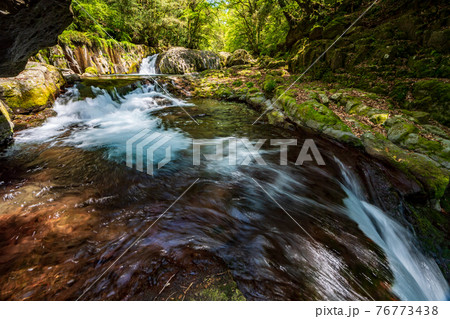 新緑の頃菊池渓谷の美しい風景 76773438