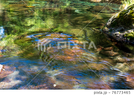 新緑の頃菊池渓谷の美しい風景 76773465