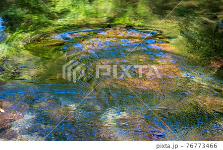 新緑の頃菊池渓谷の美しい風景 76773466