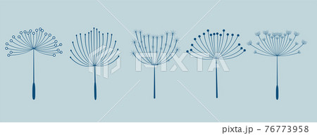 set of five dandelion flowers seeds 76773958