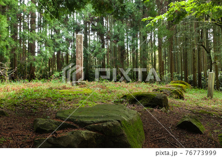 高宮廃寺跡 (奈良県御所市) 高宮廃寺跡 (奈良県御所市) 76773999