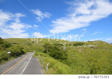 秋吉台 カルスト台地 秋吉台 カルスト台地 76775263