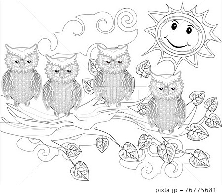 Coloring pages. Birds. Cute owl sits on the tree. Coloring pages. Birds. Cute owl sits on the tree. 76775681