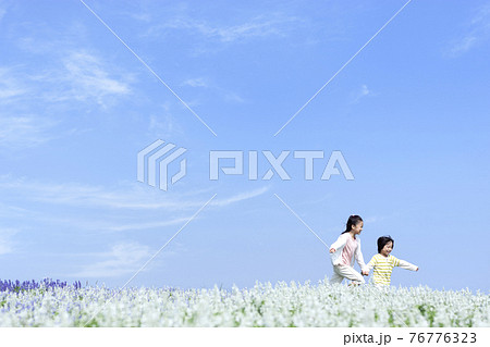 花畑を走る女の子と男の子 花畑を走る女の子と男の子 76776323