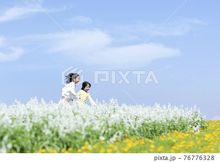 花畑を走る女の子と男の子 花畑を走る女の子と男の子 76776328