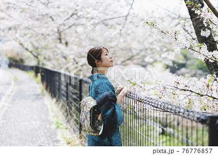 桜を楽しむ着物の女性 桜を楽しむ着物の女性 76776857