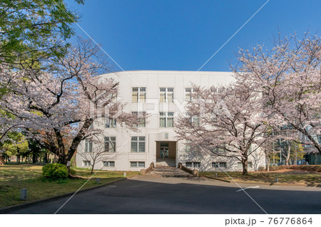 東京都港区の麻布歩兵第三連隊兵舎跡と満開の桜 東京都港区の麻布歩兵第三連隊兵舎跡と満開の桜 76776864