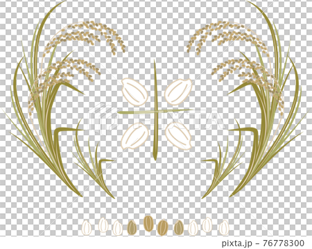 たわわに実った稲のイラスト 76778300