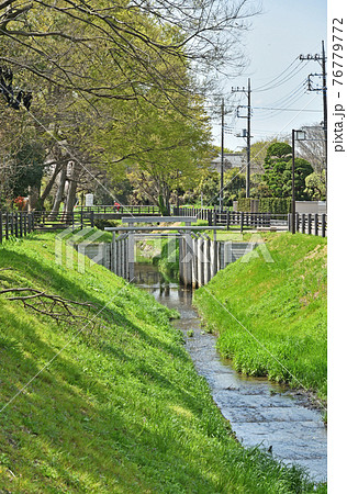 見沼田圃散歩： 見沼通船堀 76779772