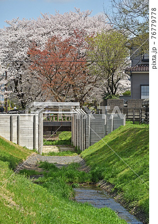 見沼田圃散歩： 見沼通船堀 76779778