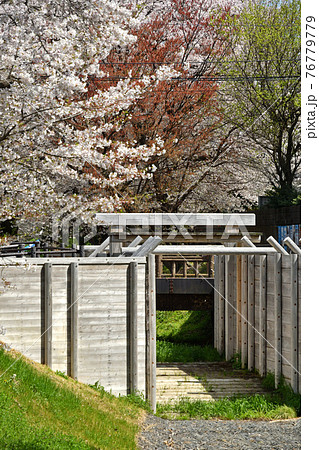 見沼田圃散歩： 見沼通船堀 76779779