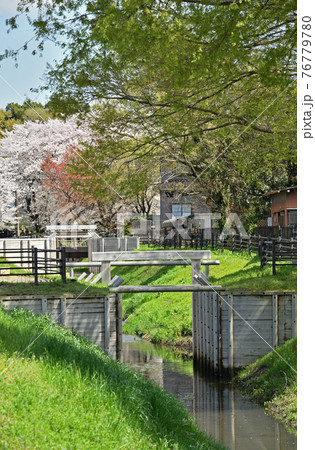 見沼田圃散歩： 見沼通船堀 76779780