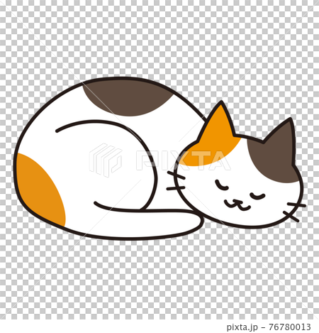 一隻蜷縮著睡得很開心的印花布貓 76780013