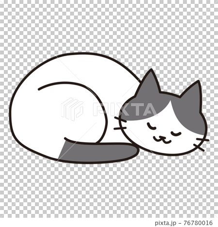 Hachiware cat that curls up and sleeps happily Hachiware cat that curls up and sleeps happily 76780016