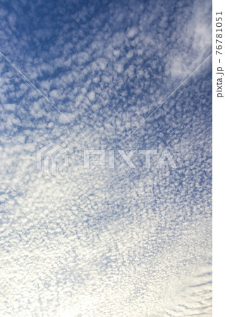 いわし雲の空 いわし雲の空 76781051