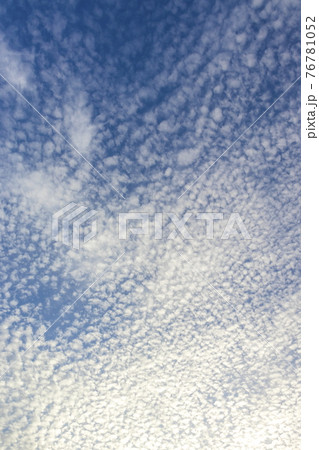いわし雲の空 いわし雲の空 76781052
