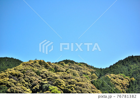 静岡市の里山 水見色の風景 76781382