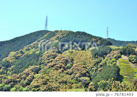 山笑う静岡市水見色の里山 山笑う静岡市水見色の里山 76781403