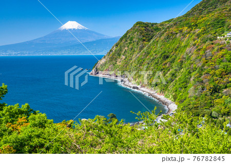 《静岡県》富士山と駿河湾の大海原・新緑の伊豆半島 《静岡県》富士山と駿河湾の大海原・新緑の伊豆半島 76782845