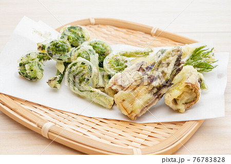 山菜の天ぷら 76783828