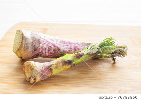 天然の山うど 新潟産 天然の山うど 新潟産 76783860