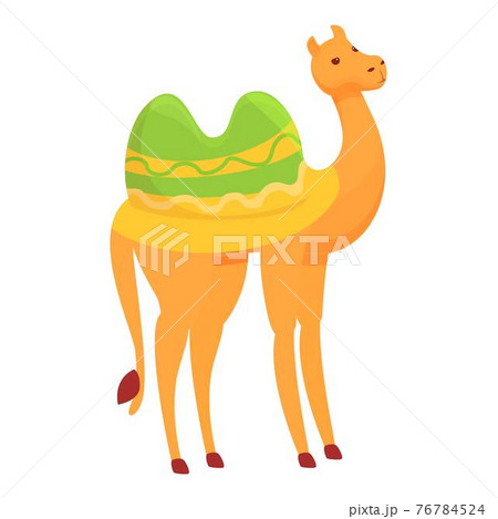 Travel camel icon, cartoon style 76784524