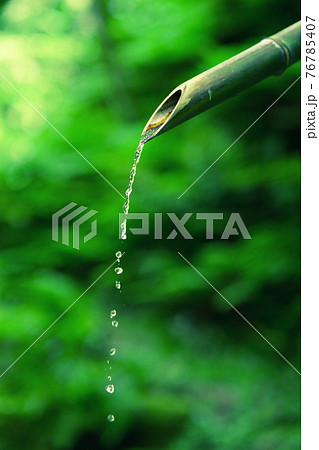新緑の中に竹パイプから流れた水 76785407