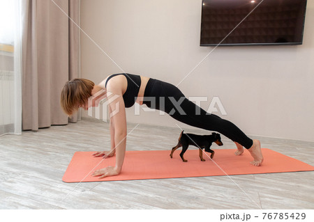 Young fit woman practicing yoga at home but dog try to play with her. Healthy lifestyle. Yoga lesson at home during the coronavirus pandemic. Trying to do push-up exercises. 76785429