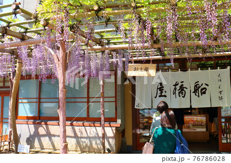 東京都江東区亀戸の船橋屋くず餅　藤まつり 76786028