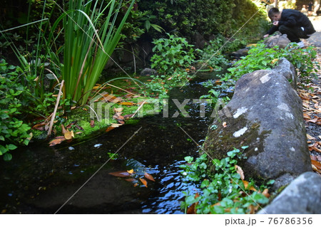 小路の水路 76786356