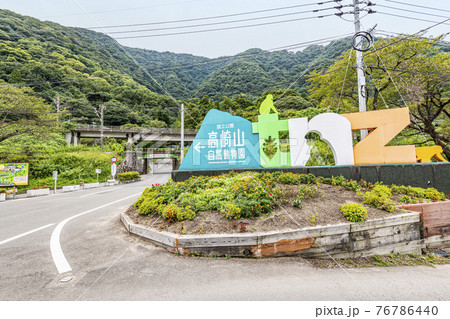 大分県大分市　高崎山自然動物園 76786440