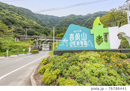 大分県大分市 高崎山自然動物園 大分県大分市 高崎山自然動物園 76786441