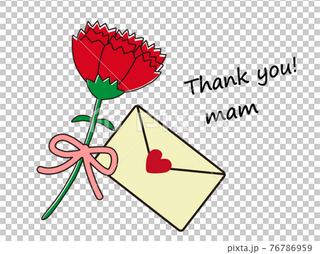 Items to express gratitude on Mother's Day_Carnations and letters 76786959