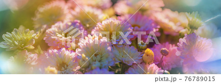 Flowers Flowers 76789015