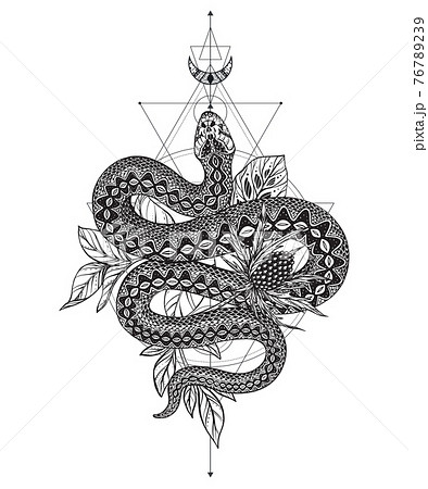 Vector illustration of black and white snake, feverweed flower, moon, sacral geometric simbols isolated on white background. 76789239