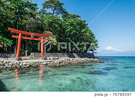 【沼津市戸田　富士山と諸口神社鳥居】 76789397