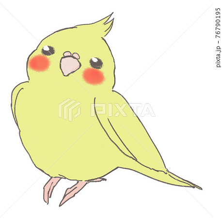 かわいく遊ぶインコ 76790195