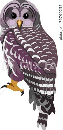 Barred Owl Bird Animalのイラスト素材