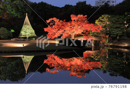 【東京都】六義園紅葉ライトアップ 76791198