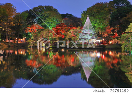 【東京都】六義園紅葉ライトアップ 76791199