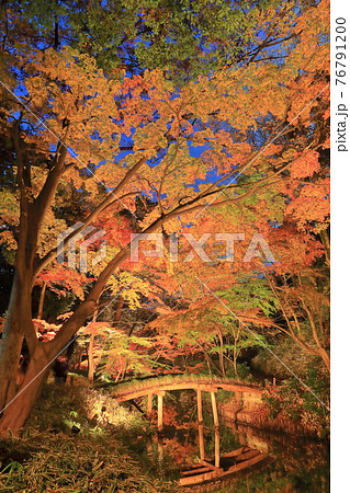 【東京都】六義園紅葉ライトアップ 76791200