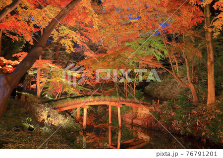 【【東京都】六義園紅葉ライトアップ東京都】六義園紅葉ライトアップ 76791201
