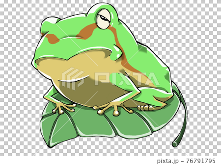 一隻仍然昏昏欲睡的樹蛙從冬眠中醒來，騎在樹葉上 76791795