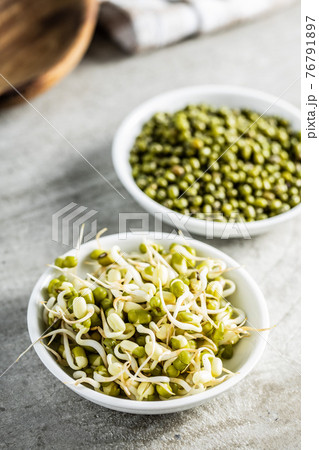 Sprouted green mung beans and dried beans in bowl. Mung sprouts Sprouted green mung beans and dried beans in bowl. Mung sprouts 76791897