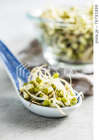Sprouted green mung beans. Mung sprouts in spoon Sprouted green mung beans. Mung sprouts in spoon 76791899